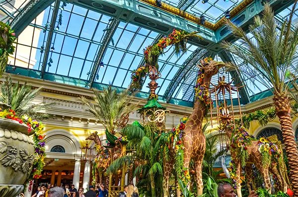 Bellagio Conservatory and Botanical Gardens