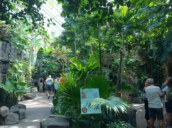 Denver Zoo Places to Visit with Family in USA