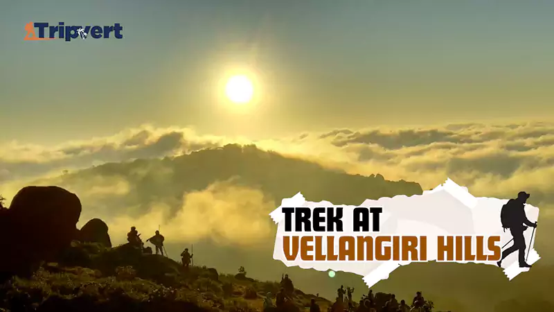 Vellangiri Hillss
