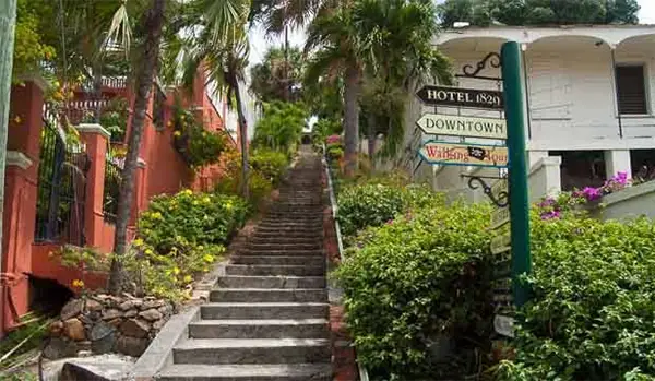 99 Steps