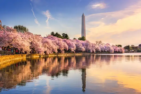 Best Places to Visit in the USA in March