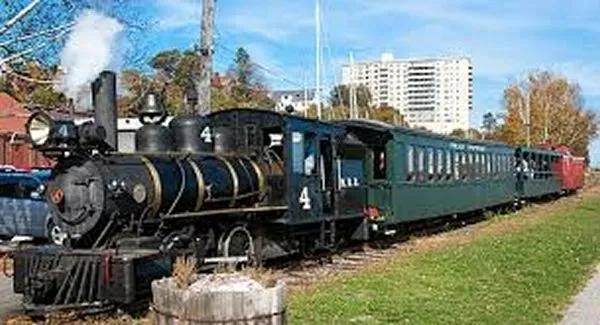 Narrow Gauge Railroad